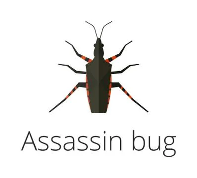 Assassin bug insect vector illustration Ilustración de archivo