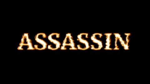 ASSASSIN Stock Footage 336838864