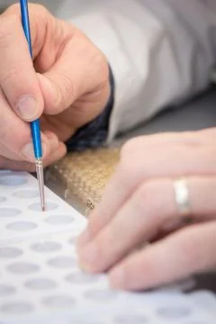 Assay tray loading Stock Photos