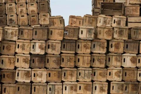 Assembling Boxes Stock Photos