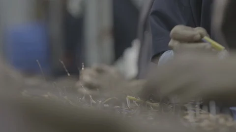 Assembling electrical parts - Shot on Sony FS7 Stock Footage 91169934