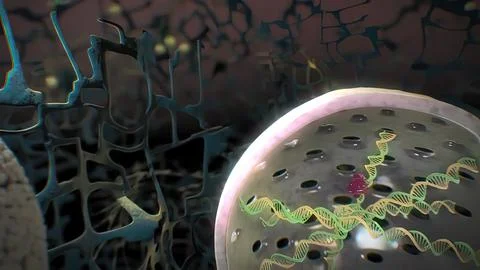 The assembly and functioning of proteins in a cell Stock Illustration