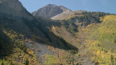 Assembly Fall Colors 2022 1 Stock Footage 221380823