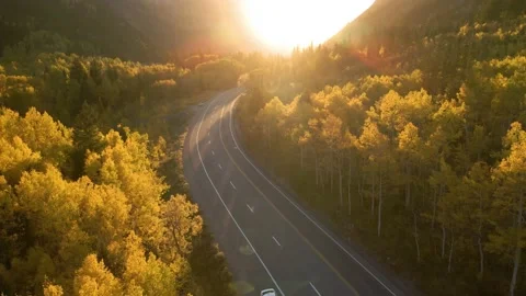 Assembly Fall Colors 2022 10 Stock Footage 221380985