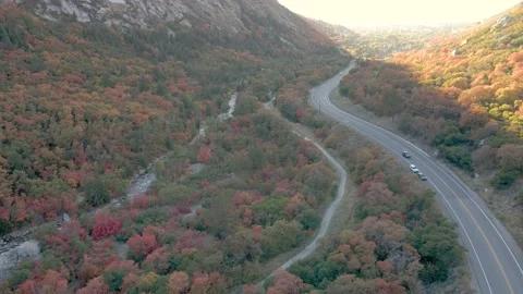 Assembly Fall Colors 2022 2 Stock Footage 221380863