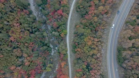 Assembly Fall Colors 2022 3 Stock Footage 221380858