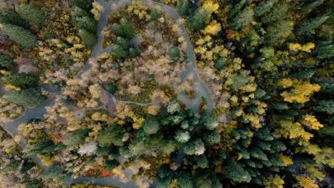 Assembly Fall Colors 2022 7 Stock Footage 221380970