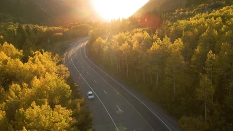 Assembly Fall Colors 2022 9 Stock Footage 221380967