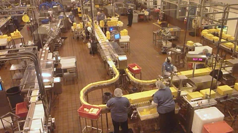 Assembly Line in Cheese Factory Stock Footage 34225597