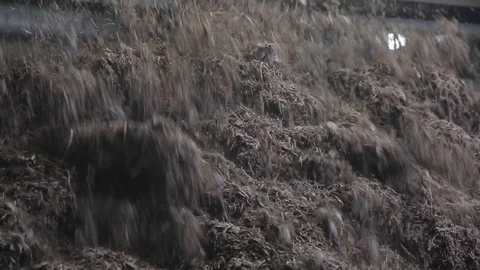 Assembly line 库存影片 107319395