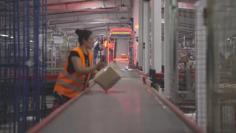 Assembly Line Stock-Footage 119200324