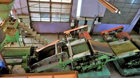 Assembly line of processing of tea leaves by machines from raw material leave Stock Photos