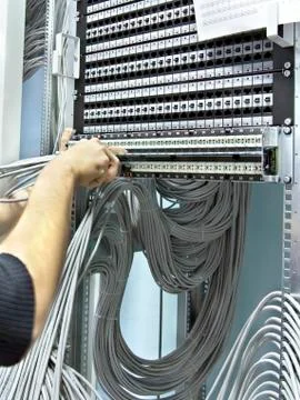 Assembly network patch panels Stock-Fotos