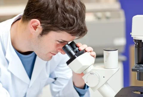 Assertive male scientist looking through a microscope Stock Photos