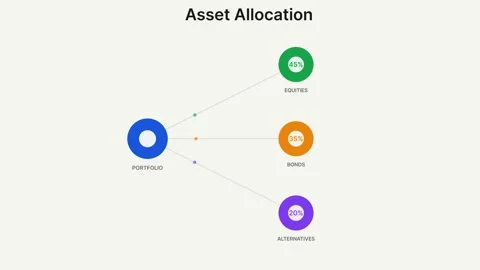 Asset Allocation Flow Diagram Explaining Investment Portfolio Vidéo 334161414