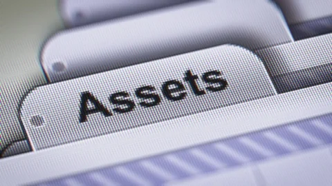 "Assets" on The File. Stock Footage 73478981