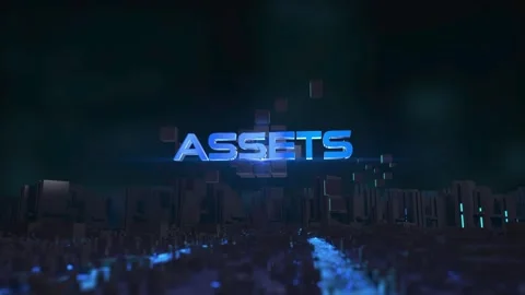 ASSETS Stock Footage 265797995