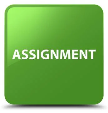 Assignment soft green square button Stock Illustration