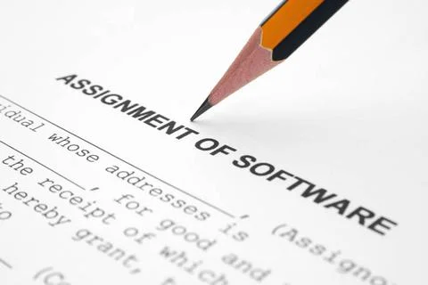  Assignment of software Assignment of software Copyright: xZoonar.com/Alek... Foto stock