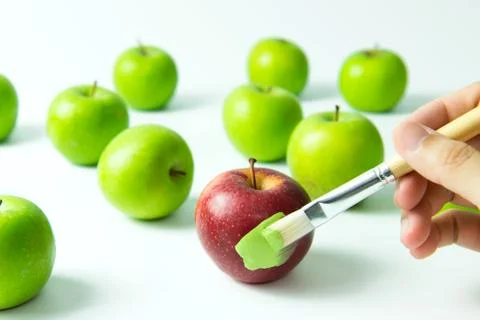 Assimilation or integration concept Stock Photos