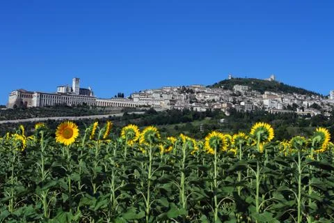 Assisi Stock Photos