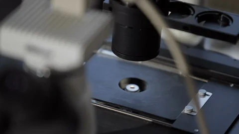 Assistant of lab preparing a preparate Stock Footage 100269608