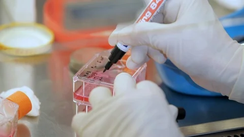 Assistant of lab preparing a preparate Stock Footage 100271669