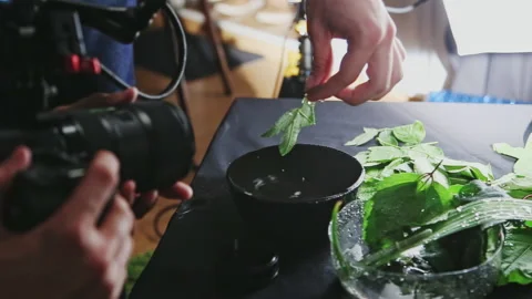 Assistant sprays water on leaf for good quality on video Stock Footage 231215342