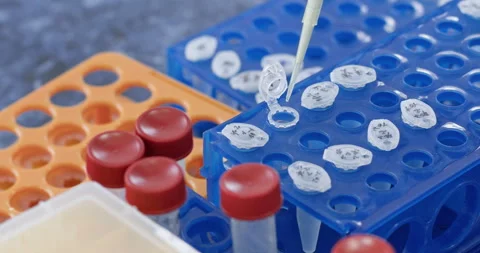Assistant takes sample from test tube on rack in lab Stock Footage 274394900