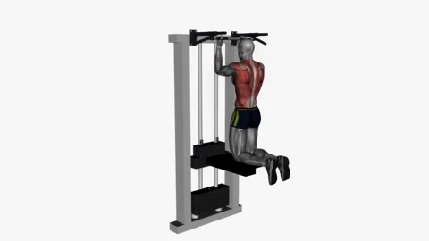 Assisted chin up normal width reverse grip  fitness exercise workout animation m Video stock 243982913