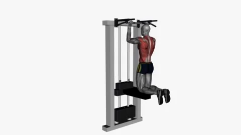 Assisted chin up reverse wide grip  fitness exercise workout animation male musc Vidéo 243982934