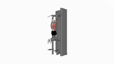 Assisted close grip underhand chin up fitness exercise workout animation male mu Video stock 243982865