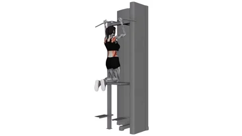 Assisted Parallel Close-Grip Pull-up female 1 fitness gym exercise workout anima Stockbeeldmateriaal 247708284