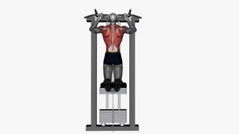 Assisted pull up normal grip  fitness exercise workout animation male muscle hig 库存影片 243982939