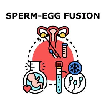 Assisted reproductive technologies vector concept with fertilization process Stock Illustration