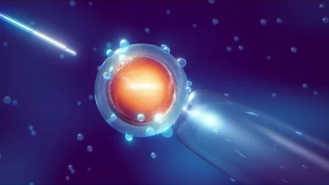 Assisted reproductive technology concept. Stock Footage 156475467