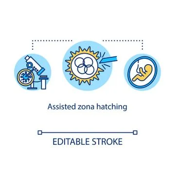 Assisted zona hatching concept icon. Fetus development. In vitro reproduction Stock Illustration