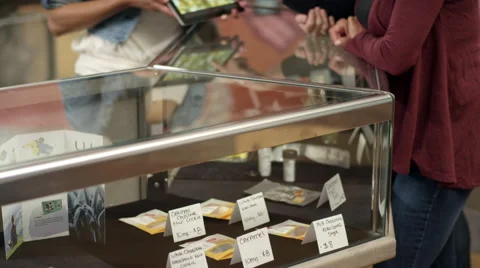Associate at a marijuana shop using a tablet to show product to customers Video stock 58874124