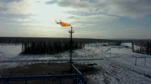 Associated gas burn. Flame from pipe against background of forest. Stock Footage 266519712