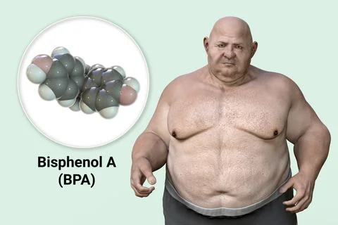 Association between plastic compounds and obesity, 3D illustration showing .. Illustrazione stock