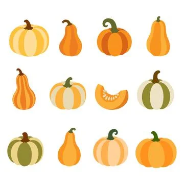 Assorted autumn pumpkins and gourds vector set Illustrazione stock