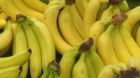 Assorted bananas in grocery store Stock Footage 87680766