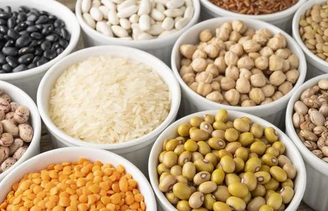 Assorted beans and grains on white bowls 스톡 사진