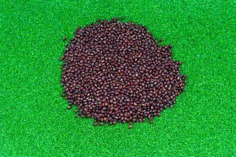 Assorted beans ingredients  red beans for cooking Stock Photos