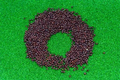 Assorted beans ingredients  red beans for cooking Stock Photos