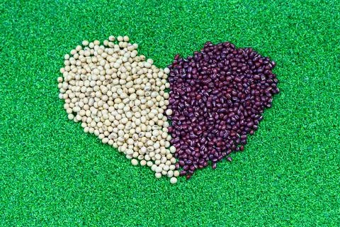 Assorted beans ingredients red beans and soybean for cooking Foto stock