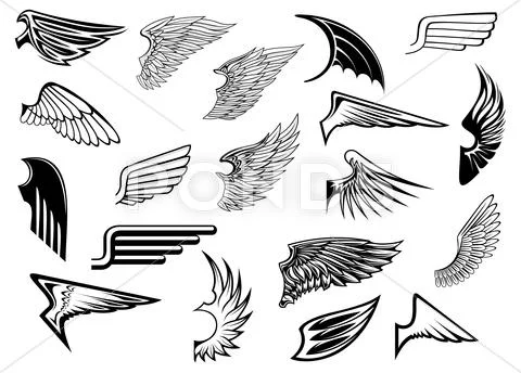Assorted Black And White Wings Graphic Designs