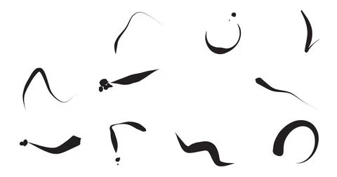 Assorted black brush swashes and calligraphic lines for creative design layou イラスト素材