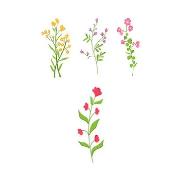 Assorted blooming flora elements creating a botanical design イラスト素材