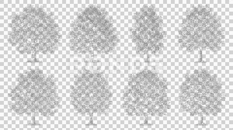 Assorted broadleaf tree sketches isolated on transparent background Stock-Illustration